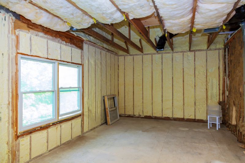 Ceiling Insulation Installation in Georgetown, TX