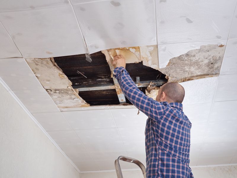 Ceiling Repair Service in Olathe, KS