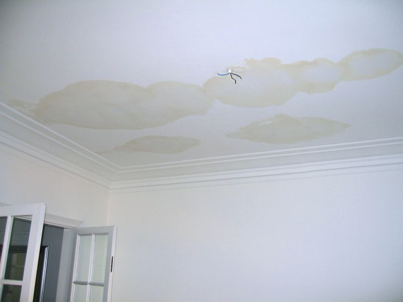 Ceiling Water Damage Repair in Conroe, TX