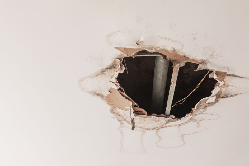 Ceiling Water Damage Repair in Olathe, KS